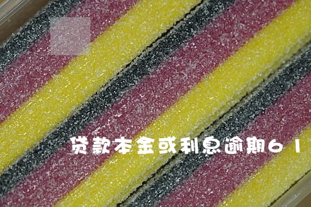 贷款本金或利息逾期61 贷款本金或利息逾期61