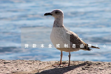 贷款本金或利息逾期90天没有 贷款本金或利息逾期90天没有