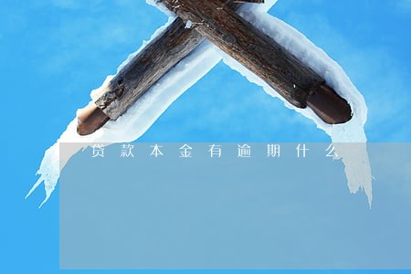 贷款本金有逾期什么 贷款本金有逾期什么