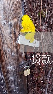 贷款本金有逾期什么手续 贷款本金有逾期什么手续
