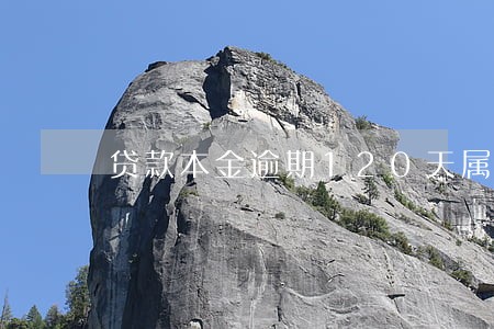 贷款本金逾期120天属于 贷款本金逾期120天属于