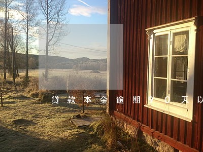 贷款本金逾期90天以内 贷款本金逾期90天以内