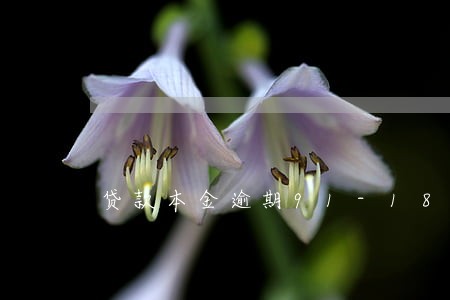 贷款本金逾期91-180天 贷款本金逾期91-180天