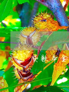 贷款本金逾期利息是否转外 贷款本金逾期利息是否转外