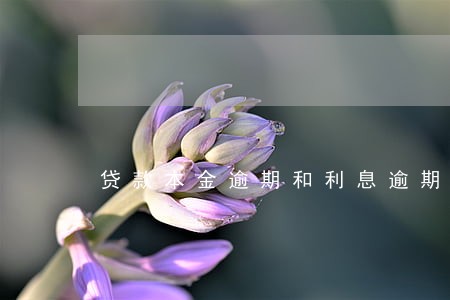 贷款本金逾期和利息逾期 贷款本金逾期和利息逾期