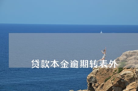 贷款本金逾期转表外 贷款本金逾期转表外