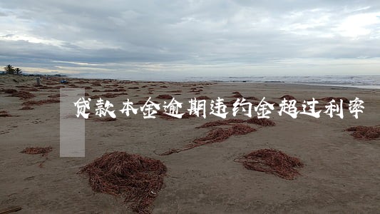 贷款本金逾期违约金超过利率 贷款本金逾期违约金超过利率