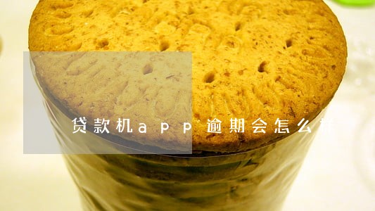 贷款机app逾期会怎么样 贷款机app逾期会怎么样