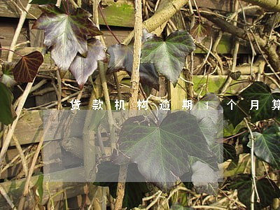 贷款机构逾期1个月算黑户不 贷款机构逾期1个月算黑户不