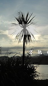 贷款机能逾期几天 贷款机能逾期几天