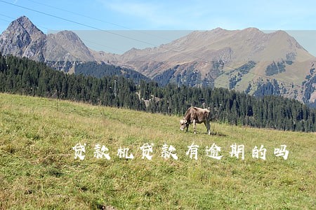 贷款机贷款有逾期的吗