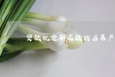 贷款机逾期还款的后果严重 贷款机逾期还款的后果严重