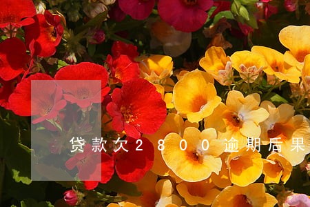 贷款欠2800逾期后果 贷款欠2800逾期后果