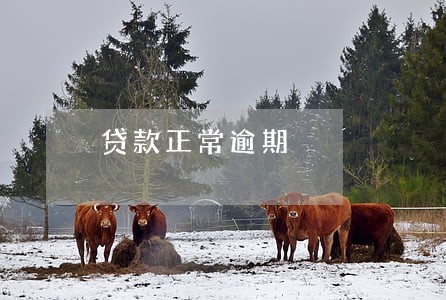 贷款正常逾期