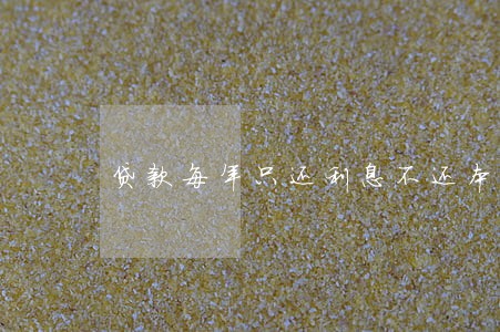 贷款每年只还利息不还本金 贷款每年只还利息不还本金
