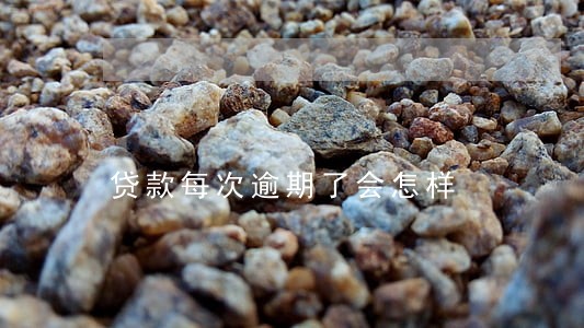 贷款每次逾期了会怎样 贷款每次逾期了会怎样