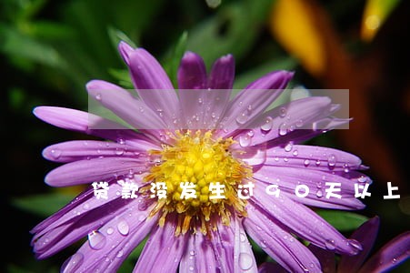 贷款没发生过90天以上逾期