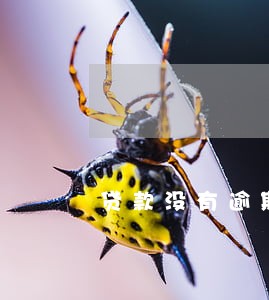 贷款没有逾期上征信 贷款没有逾期上征信