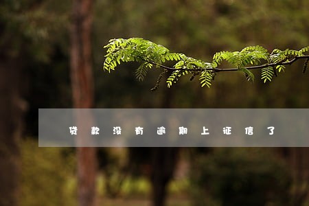 贷款没有逾期上征信了 贷款没有逾期上征信了