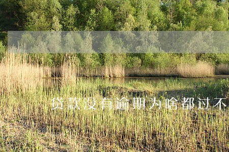 贷款没有逾期为啥都过不了 贷款没有逾期为啥都过不了