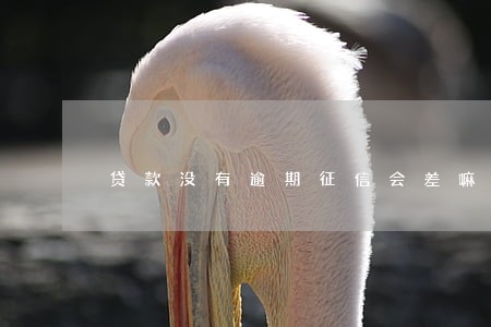贷款没有逾期征信会差嘛 贷款没有逾期征信会差嘛