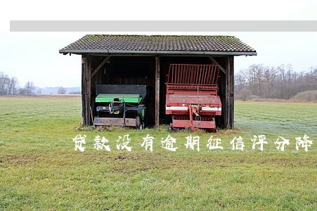 贷款没有逾期征信评分降级 贷款没有逾期征信评分降级