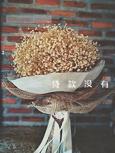 贷款没有逾期被骚扰 贷款没有逾期被骚扰