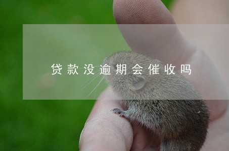 贷款没逾期会催收吗 贷款没逾期会催收吗