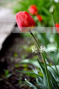 贷款没逾期会寄信吗 贷款没逾期会寄信吗