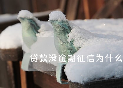 贷款没逾期征信为什么异常 贷款没逾期征信为什么异常