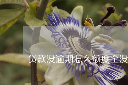 贷款没逾期怎么额度全没了 贷款没逾期怎么额度全没了