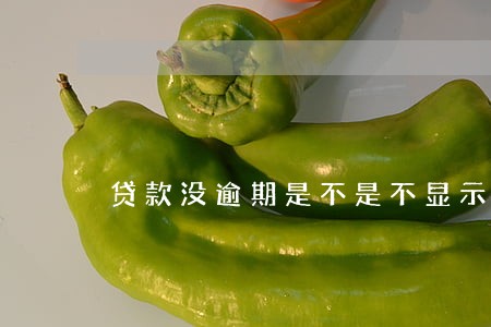 贷款没逾期是不是不显示金额 贷款没逾期是不是不显示金额