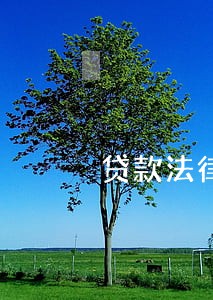 贷款法律常识小课堂开课啦 贷款法律常识小课堂开课啦