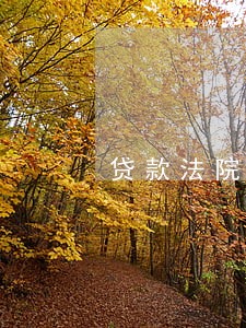 贷款法院可以执行吗 贷款法院可以执行吗