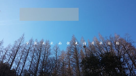 贷款流水好但是信用卡逾期 贷款流水好但是信用卡逾期