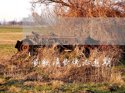 贷款消费凭证逾期 贷款消费凭证逾期