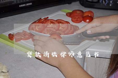 贷款清收律师意见书 贷款清收律师意见书