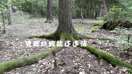 贷款炒股能还违法 贷款炒股能还违法