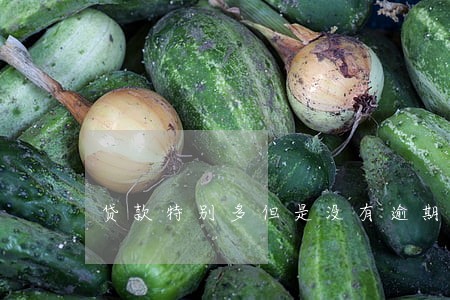 贷款特别多但是没有逾期 贷款特别多但是没有逾期