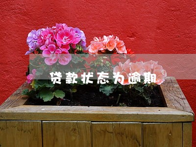 贷款状态为逾期