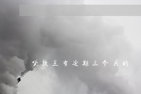 贷款王有逾期三个月的 贷款王有逾期三个月的
