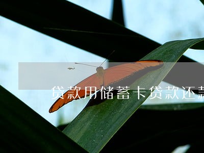 贷款用储蓄卡贷款还款逾期