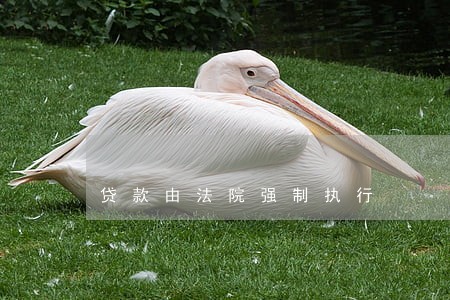 贷款由法院强制执行 贷款由法院强制执行