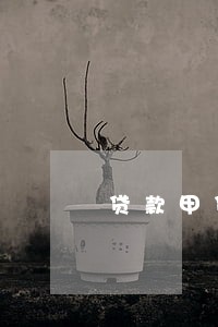 贷款甲贷乙用怎么判