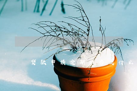 贷款申请逾期公告是什么意思 贷款申请逾期公告是什么意思