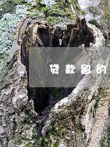 贷款留的电话不逾期会打嘛 贷款留的电话不逾期会打嘛