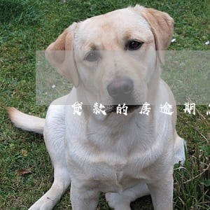 贷款的房逾期怎么办 贷款的房逾期怎么办