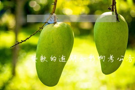 贷款的逾期会影响考公务员