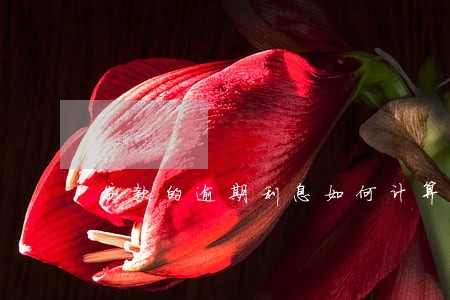 贷款的逾期利息如何计算 贷款的逾期利息如何计算