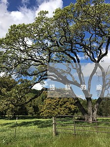 贷款的逾期和期 贷款的逾期和期